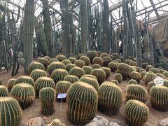 -南山植物园
