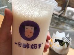-一只酸奶牛(八一路店)