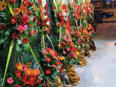 -淘花源花艺鲜花店 开业花篮 绿植(南部商务区店)