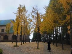 -莫干山风景区