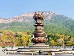 -白佛山景区