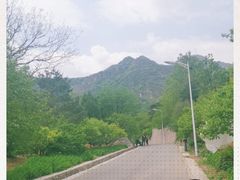 -北京鹫峰国家森林公园