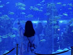 -石家庄市动物园