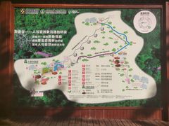 -野象谷景区