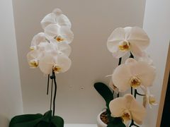 -花点时间(蓝色港湾店)
