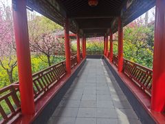 -南汇桃花村