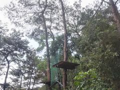 -芦仙山景区-飞越丛林探险乐园