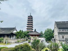 -大明寺素食坊(扬子江中路店)