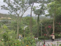 -清境桃源