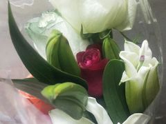 -循礼门鲜花花市(武汉循礼门店)