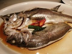 -绿茶餐厅(华联万柳店)