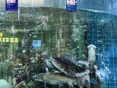 -客家汇·客家传承菜(水库店)