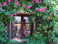 -小河直街历史文化街区