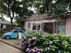 -灯塔咖啡馆BOOK·Coffee Shop