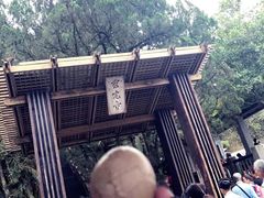 -金盆阿嬷香菇茶叶蛋(玄光店)
