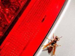 -天津波士信达奔驰4S店(卫津南路店)