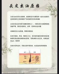 -Bollins波林丝•专研护发中心