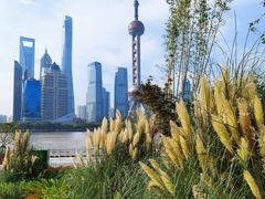 -北外滩滨江绿地