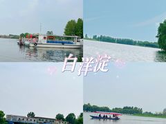 -白洋淀风景区