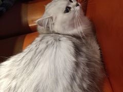 -蘭葶花酒馆(鼓楼店)