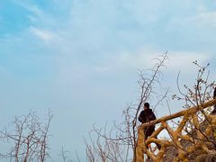 -北京西山国家森林公园