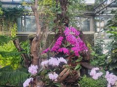 -石家庄市植物园