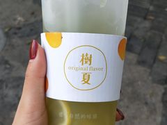 -树夏(建设路店)