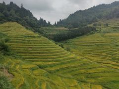 -南靖田螺坑土楼群景区