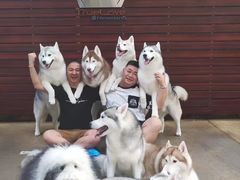 -TrueLove @ Neverland (Husky Cafe)