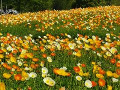 -歌斐颂巧克力小镇