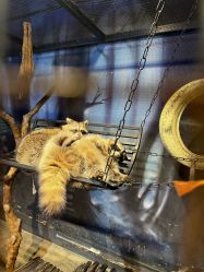 -酷嗒动物文化乐园(cutezoo西溪乐天城店)