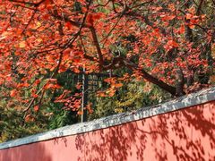 -潭柘寺景区