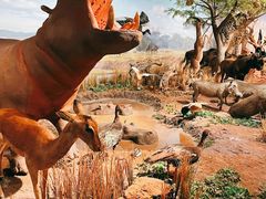 -陕西自然博物馆