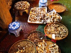 -园林美食城·本土农家菜(杨和镇店)