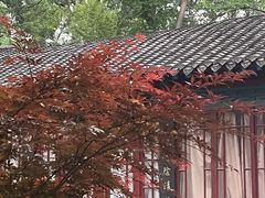 -济南大明湖景区