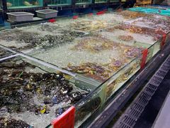 -渔傅·蓝海岸霞浦海鲜(正祥店)