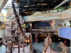 -安徽省地质博物馆