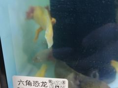 -大润发(姑嫂树店)