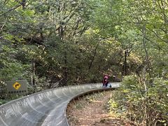 -富斯特索道