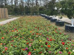 -前小桔亲子创意农场·草莓采摘·露营烧烤