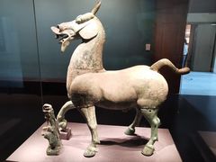 -广西壮族自治区博物馆