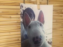 -獨門烤肉(开发区店)