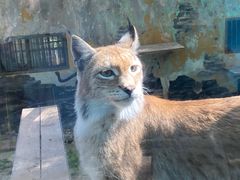-青藏高原野生动物园