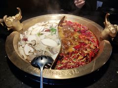 -锅说大脸毛肚重庆老火锅(佐阾店)