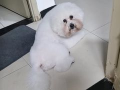 -沐沐家宠物(成寿寺店)