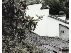 -塔川景区