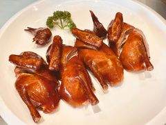 金牌脆皮乳鸽-万龙洲海鲜·粤菜(亚运村店)