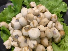 野生珍珠马蹄-东椰·海南椰子鸡火锅(朝阳门店)