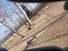 -秦皇岛野生动物园