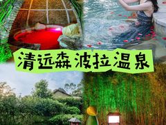 -佛冈森波拉度假区